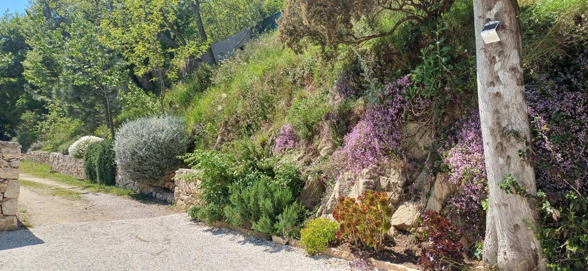 לינה וארוחת בוקר Coaraze Le Domaine De La Feuilleraie מראה חיצוני תמונה